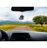  Oregon State Beavers Car Antenna Ball / Mirror Dangler / Auto Dashboard Buddy (College Football) 